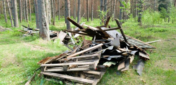 Debris Removal Service in Deltona